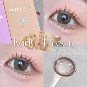 MOLAK 1day Twinkle Brown モラク ワンデー トゥインクルブラウン